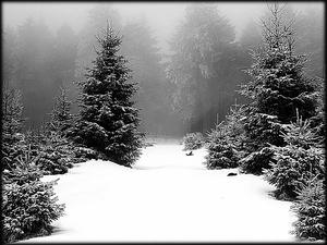 Зимний лес - картинки для гравировки